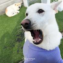 Thumbnail photo of Snowflake(D) #4
