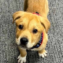 Thumbnail photo of Cruz #1