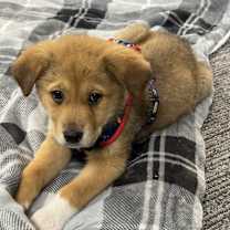 Thumbnail photo of Diego #2