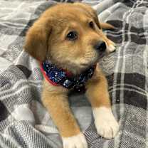 Thumbnail photo of Diego #3