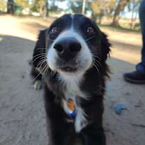 Thumbnail photo of Tommy #2