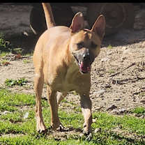 Thumbnail photo of Frito Lamar #2