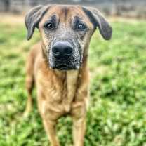Thumbnail photo of Duke #2
