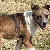 Thumbnail photo of Lexie #1