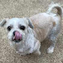 Thumbnail photo of Ace #2