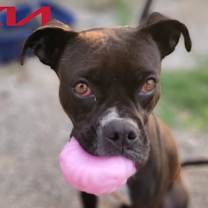Thumbnail photo of Fran #1