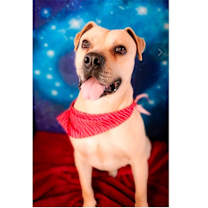 Thumbnail photo of BUBBA #4