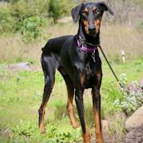 Thumbnail photo of Gregory #4