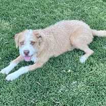 Thumbnail photo of Ranger #4