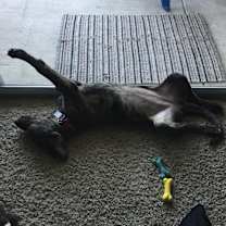 Thumbnail photo of Mia #3