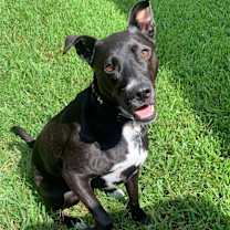 Thumbnail photo of Cece #2