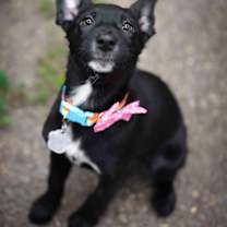 Thumbnail photo of Sakari #2