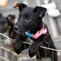 Thumbnail photo of Sakari #4
