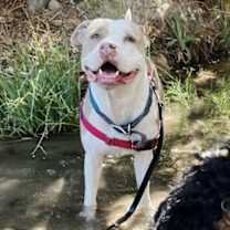 Thumbnail photo of Sophie #1