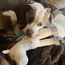 Thumbnail photo of Sophie #4