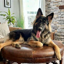 Thumbnail photo of ARTEMIS (COURTESY POST) #1