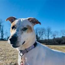 Thumbnail photo of Gabby #1