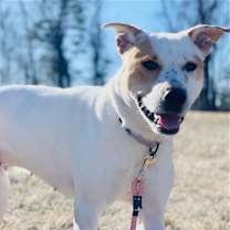 Thumbnail photo of Gabby #2