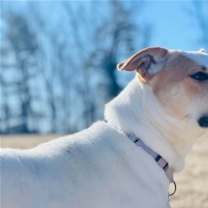 Thumbnail photo of Gabby #3