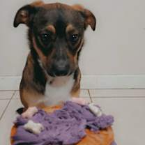 Thumbnail photo of Luna #2