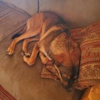 Thumbnail photo of Luna #4