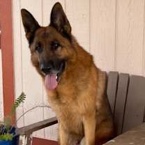 Thumbnail photo of Max #2