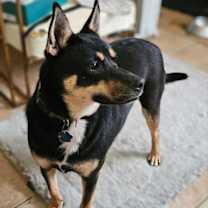 Thumbnail photo of Tita #2