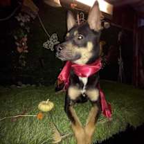 Thumbnail photo of Tita #3