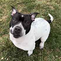 Thumbnail photo of Estelle #1