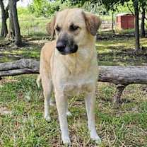 Thumbnail photo of Sasha #1