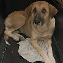 Thumbnail photo of Sasha #3