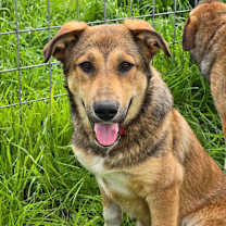 Thumbnail photo of Bandit #3