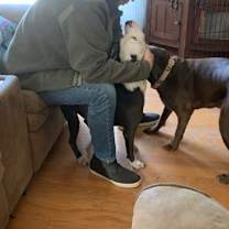 Thumbnail photo of Mr Wrigley #4