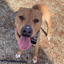 Thumbnail photo of Tucker #1