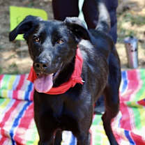 Thumbnail photo of Farrah #3