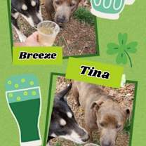 Thumbnail photo of Tina #2