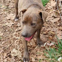 Thumbnail photo of Tina #4