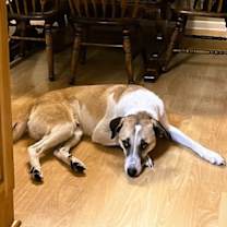 Thumbnail photo of Odin #2