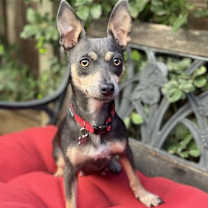 Thumbnail photo of Ginny #1