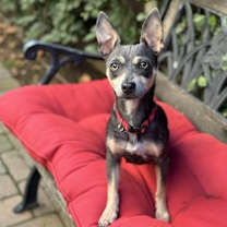 Thumbnail photo of Ginny #2