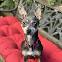 Thumbnail photo of Ginny #3