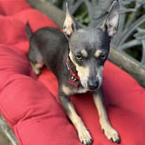 Thumbnail photo of Ginny #4