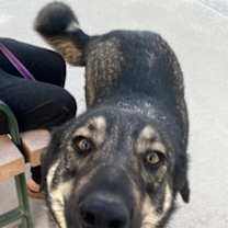 Thumbnail photo of Denali #3