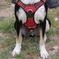 Thumbnail photo of Max #3