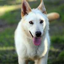 Thumbnail photo of Elka #3