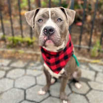 Thumbnail photo of Obie #2