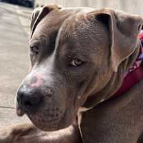 Thumbnail photo of Obie #3