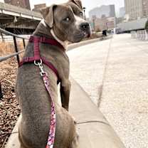 Thumbnail photo of Obie #4