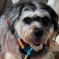 Thumbnail photo of Lizzie #1