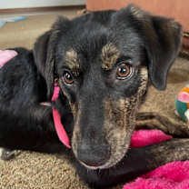 Thumbnail photo of Trinity #2